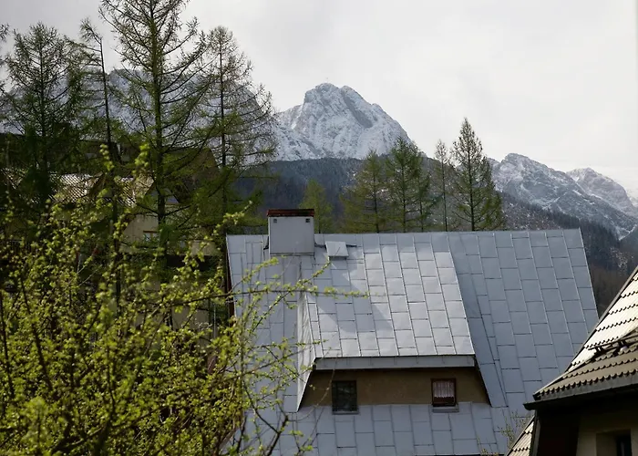 Διαμέρισμα Taternickie *