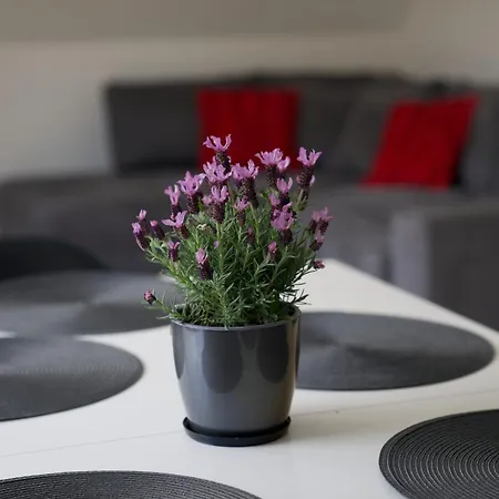 Apartament Taternickie Zakopane