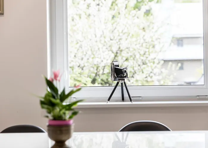 Taternickie 公寓 扎科帕内